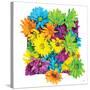 Floral Pop I-Donnie Quillen-Stretched Canvas