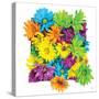 Floral Pop I-Donnie Quillen-Stretched Canvas