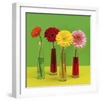 Floral Pop II-Camille Soulayrol-Framed Giclee Print