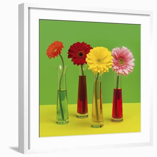 Floral Pop II-Camille Soulayrol-Framed Giclee Print