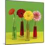 Floral Pop II-Camille Soulayrol-Mounted Giclee Print