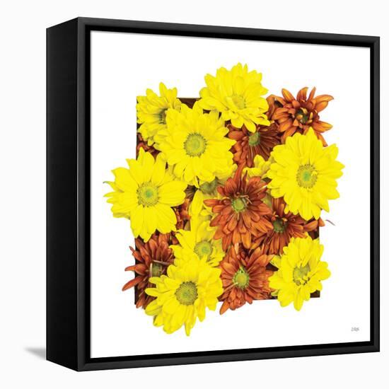 Floral Pop III-Donnie Quillen-Framed Stretched Canvas