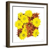 Floral Pop III-Donnie Quillen-Framed Art Print