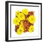 Floral Pop III-Donnie Quillen-Framed Art Print