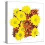Floral Pop III-Donnie Quillen-Stretched Canvas
