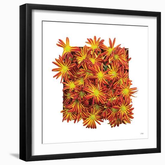 Floral Pop IV-Donnie Quillen-Framed Art Print