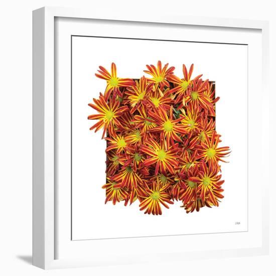 Floral Pop IV-Donnie Quillen-Framed Art Print