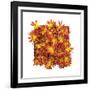 Floral Pop IV-Donnie Quillen-Framed Art Print