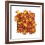 Floral Pop IV-Donnie Quillen-Framed Art Print