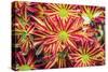 Floral Pop VI-Donnie Quillen-Stretched Canvas