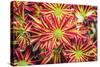 Floral Pop VI-Donnie Quillen-Stretched Canvas