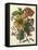 Floral Posy I-Giovanni Ferrari-Framed Stretched Canvas