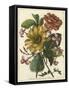 Floral Posy I-Giovanni Ferrari-Framed Stretched Canvas