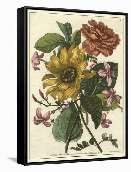 Floral Posy I-Giovanni Ferrari-Framed Stretched Canvas