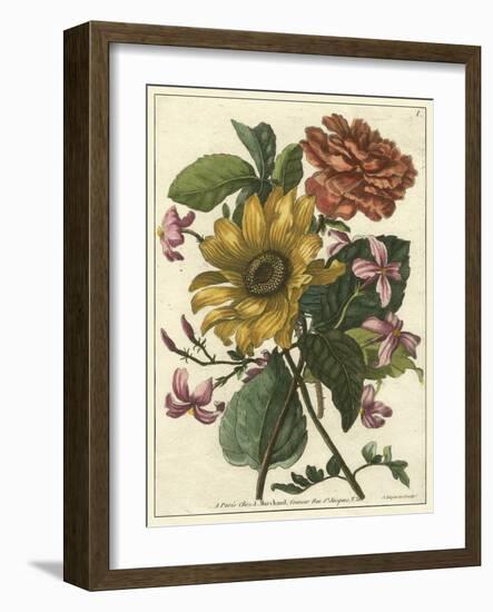 Floral Posy I-Giovanni Ferrari-Framed Art Print