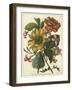 Floral Posy I-Giovanni Ferrari-Framed Art Print