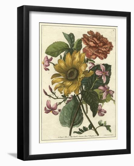 Floral Posy I-Giovanni Ferrari-Framed Art Print