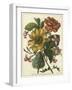 Floral Posy I-Giovanni Ferrari-Framed Art Print