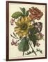 Floral Posy I-Giovanni Ferrari-Framed Art Print