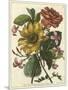 Floral Posy I-Giovanni Ferrari-Mounted Art Print