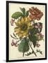 Floral Posy I-Giovanni Ferrari-Framed Art Print