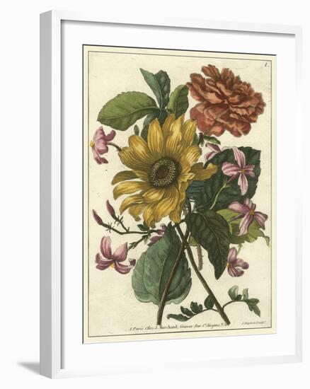 Floral Posy I-Giovanni Ferrari-Framed Art Print