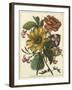 Floral Posy I-Giovanni Ferrari-Framed Art Print