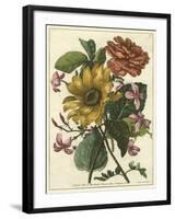 Floral Posy I-Giovanni Ferrari-Framed Art Print