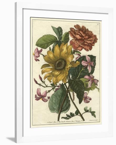 Floral Posy I-Giovanni Ferrari-Framed Art Print