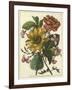 Floral Posy I-Giovanni Ferrari-Framed Art Print