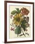 Floral Posy I-Giovanni Ferrari-Framed Art Print