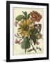 Floral Posy I-Giovanni Ferrari-Framed Art Print