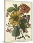 Floral Posy I-Giovanni Ferrari-Mounted Art Print