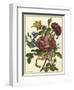 Floral Posy II-Giovanni Ferrari-Framed Art Print