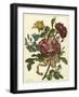 Floral Posy II-Giovanni Ferrari-Framed Art Print