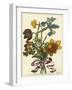 Floral Posy IV-Giovanni Ferrari-Framed Art Print