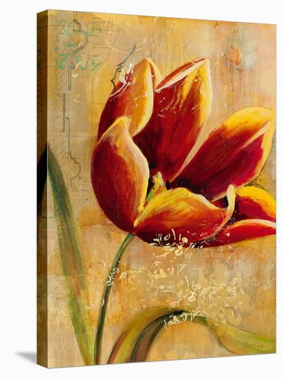 Floral Promices III-Georgie-Stretched Canvas