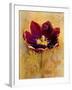 Floral Promices VI-Georgie-Framed Giclee Print