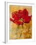 Floral Promices VII-Georgie-Framed Giclee Print