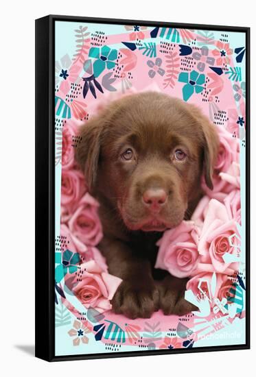 Floral Puppy-Rachael Hale-Framed Stretched Canvas