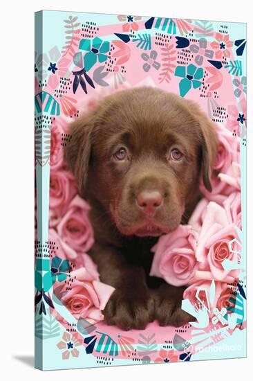 Floral Puppy-Rachael Hale-Stretched Canvas