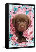 Floral Puppy-Rachael Hale-Framed Stretched Canvas