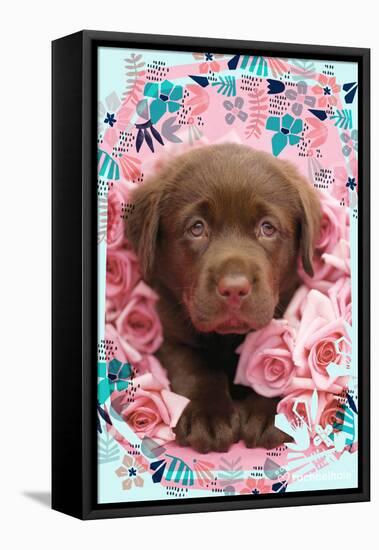 Floral Puppy-Rachael Hale-Framed Stretched Canvas