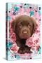 Floral Puppy-Rachael Hale-Stretched Canvas