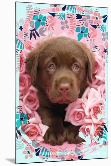 Floral Puppy-Rachael Hale-Mounted Poster