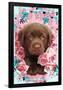 Floral Puppy-Rachael Hale-Framed Poster