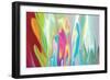 Floral Quest-Rabi Khan-Framed Art Print