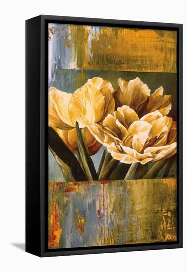 Floral Radiance II-Linda Thompson-Framed Stretched Canvas