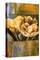 Floral Radiance II-Linda Thompson-Stretched Canvas