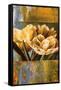 Floral Radiance II-Linda Thompson-Framed Stretched Canvas